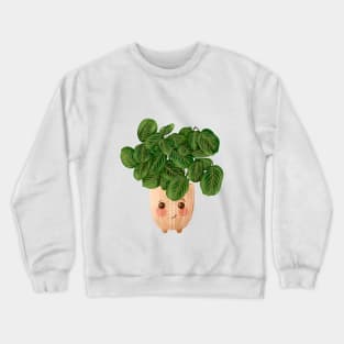 Cute Plant Illustration, Lemon Lime Prayer Plant - Maranta Crewneck Sweatshirt